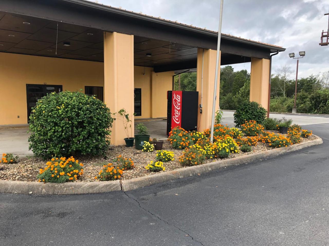 Motor Of America Madisonville